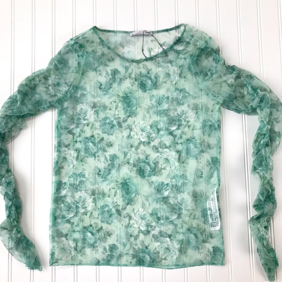 NEW Zara | Tulle Sheer Green Floral Top | Small - Picture 3 of 8